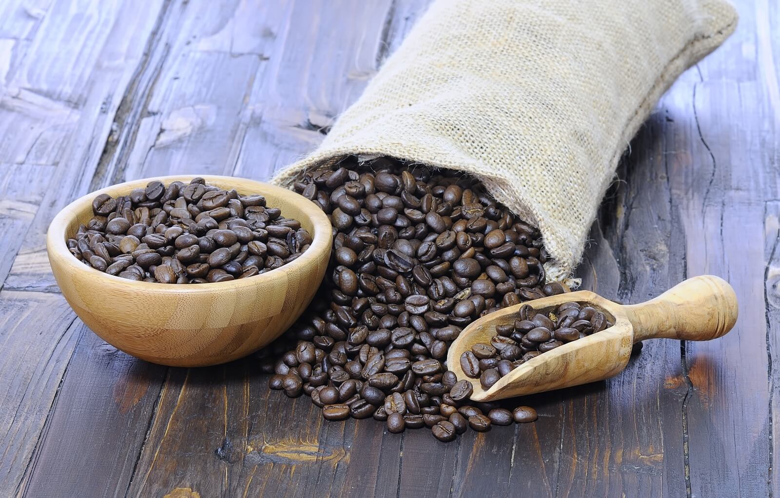 What Is Maragogipe Coffee ?